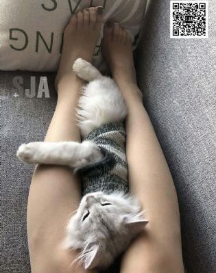 大地资源在线观看免费观看_BD英语日韩电影在线
