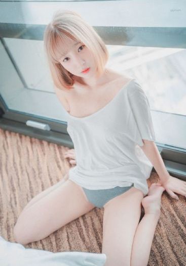 旧番剧拯救精灵森林免费观看_免费国语