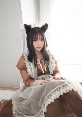 连续剧免费观看全集_DVD全集免费播放
